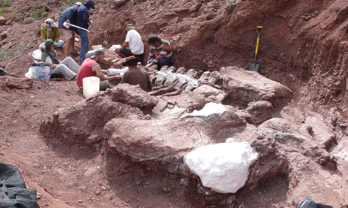 2021-01-20t000000z_1509964597_mt1ltana0003kwhlg_rtrmadp_3_america-argentina-latin-america