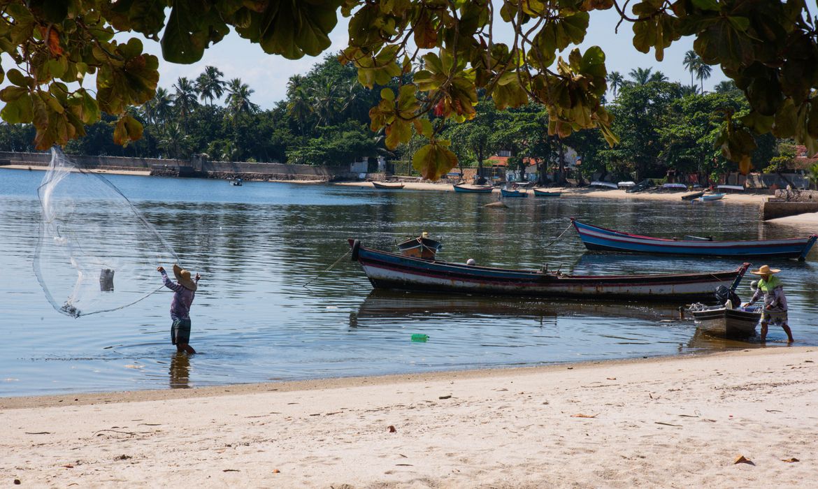 51237608697_7f0245f58c_o