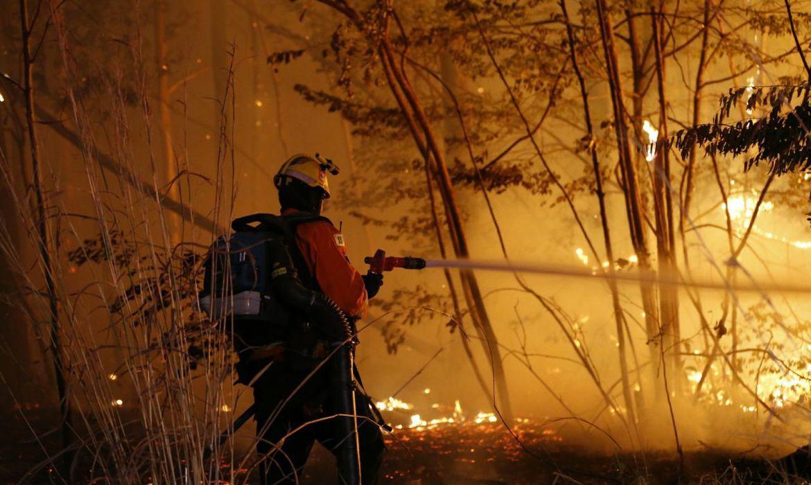 INCÊNDIO FLORESTAL