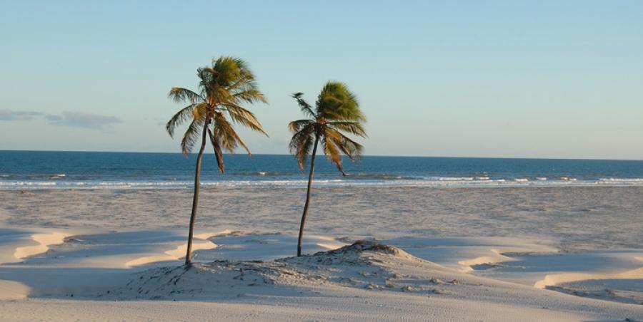 JFMANGUESECO – FOTO 3 – DIVULGACAO