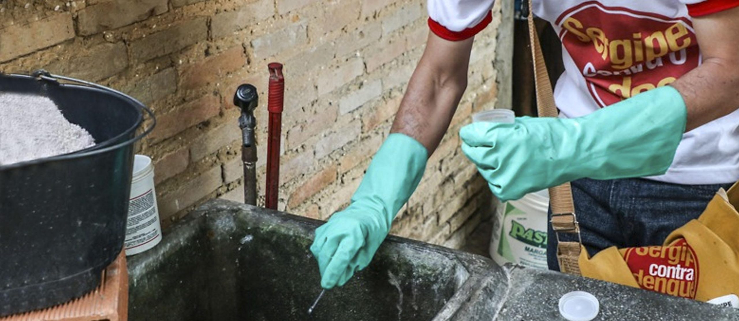LUTA DENGUE