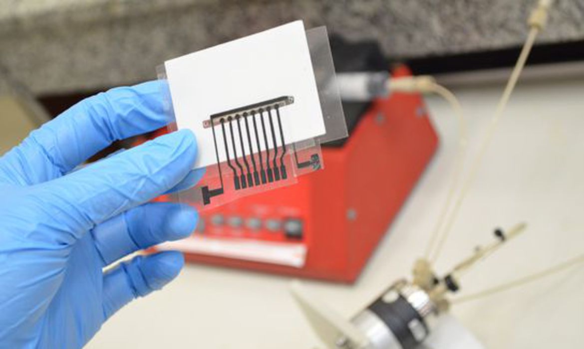 biomarcador_para_deteccao_de_alzheimer._credito_divulgacao_ufscar