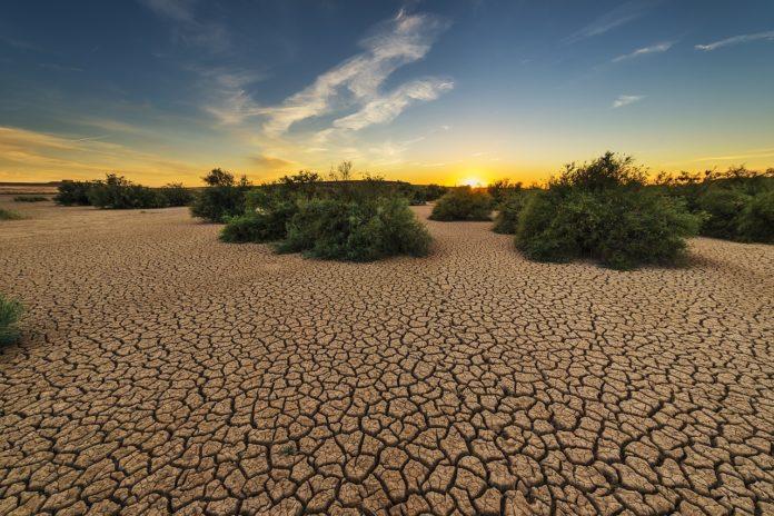 desertificacao