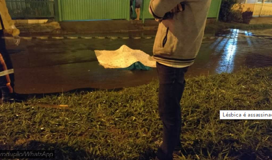 divulgação