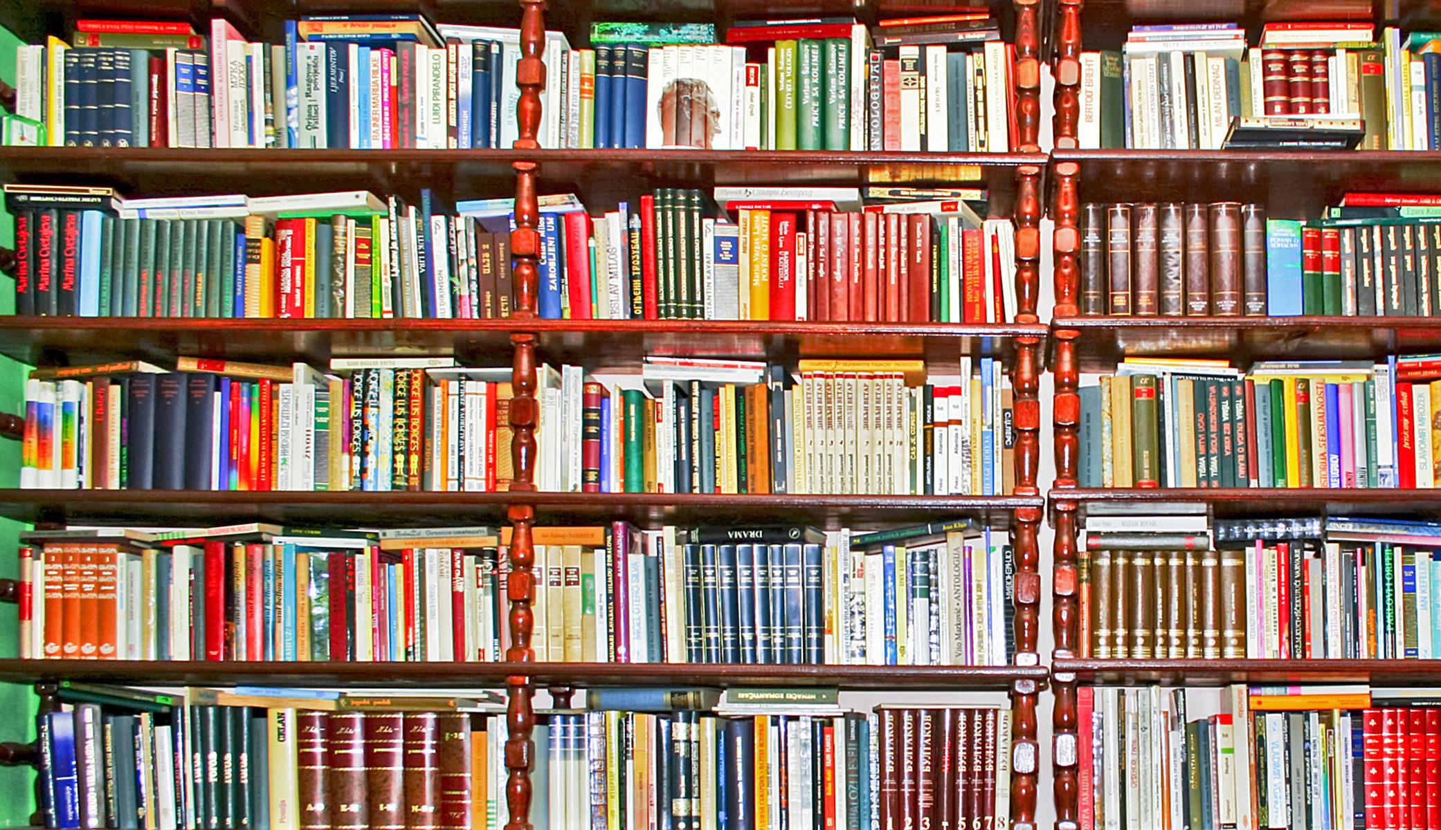 Books shelf