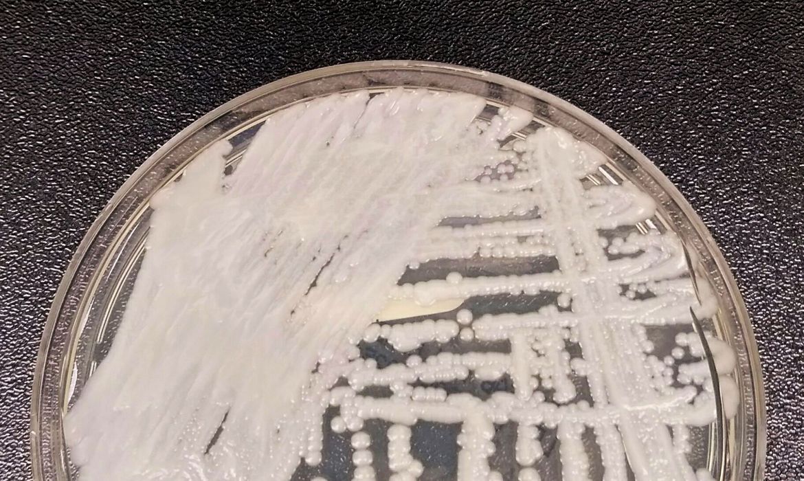2019-04-09t220810z_1383098163_rc13eb8625f0_rtrmadp_3_usa-health-superbug