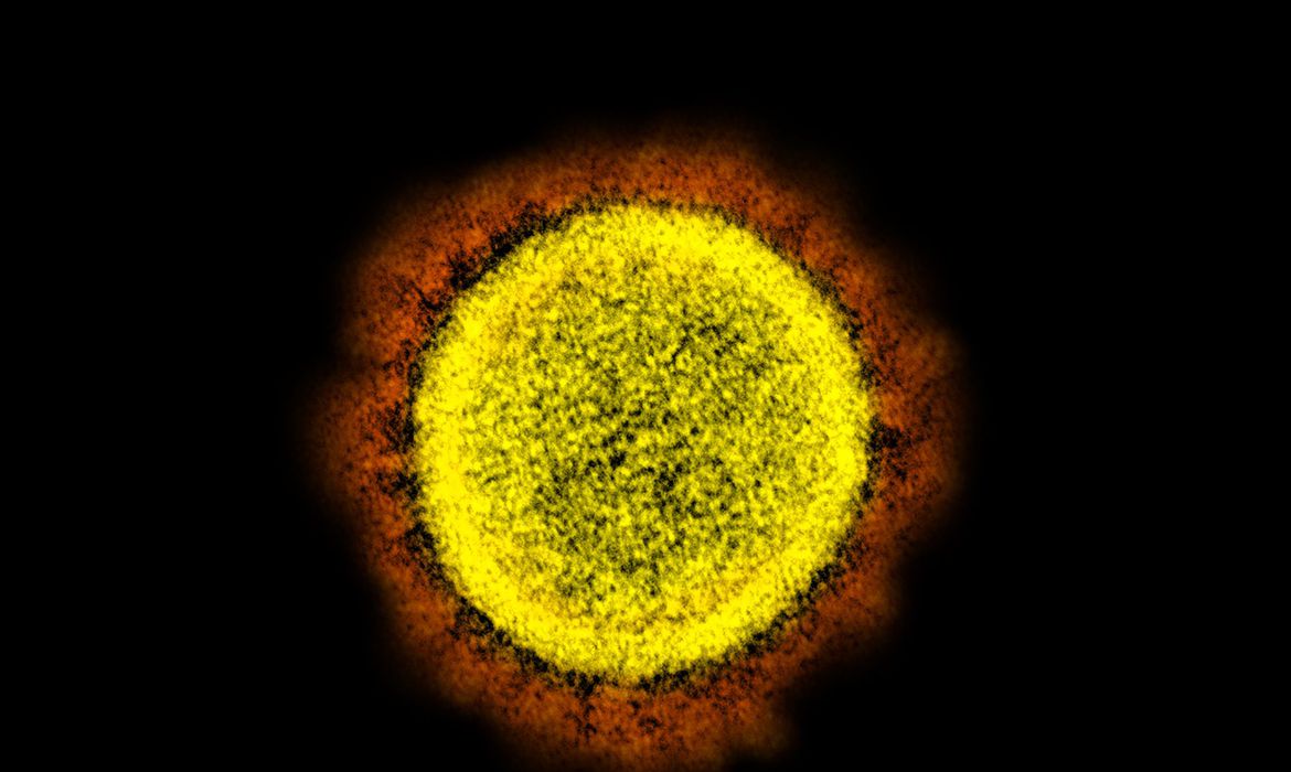 49651434338_7717d63f61_o