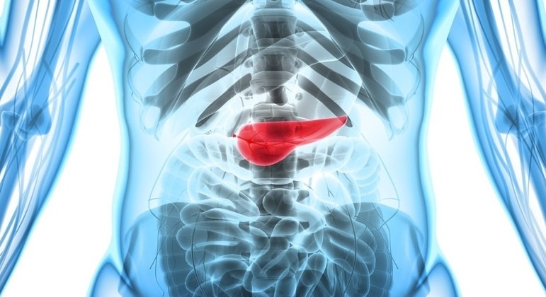 cancer-de-pancreas-04072022152831561