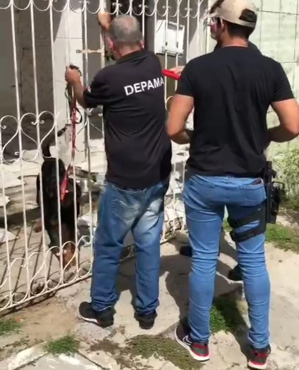 cachorro-2