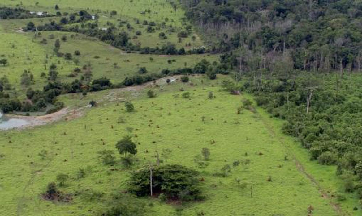 projeto_rural_na_amazonia_-_pnud