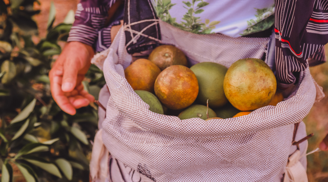 slide_ceedb21c1dafc27aef618734cfd71c96 (1)