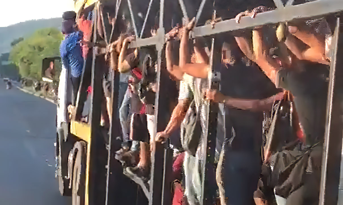 caminhao-cegonha (1)