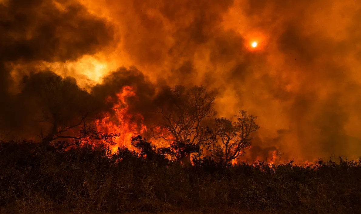 queimadas-incendio-fogo-pantanal-4