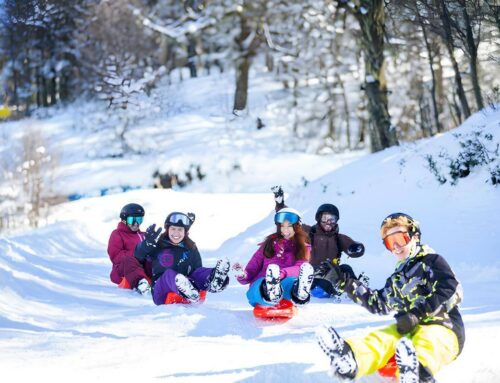 Temporada de neve 2027 já movimenta procura por viagens entre sergipanos