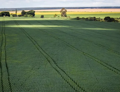 Senado aprova plano para fabricação de fertilizantes no Brasil